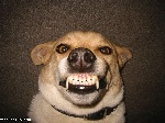 58Big_Smiles410.jpg