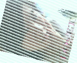 63j3D.jpg