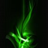 bg019